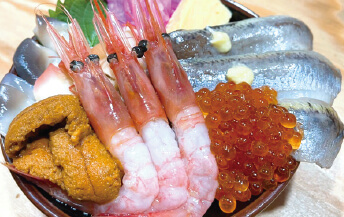 イワシ海鮮5色丼