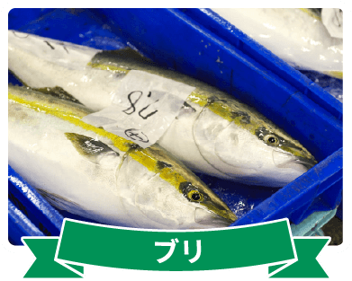 さかなフェア