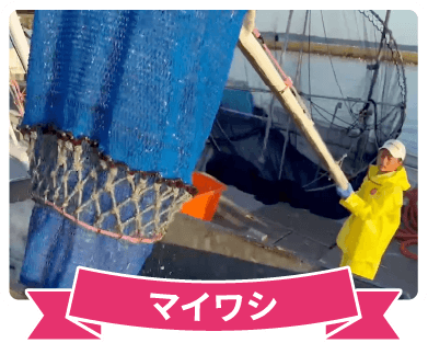 さかなフェア