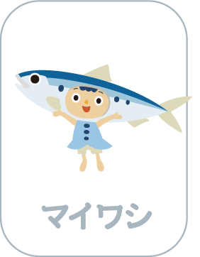 マイワシ