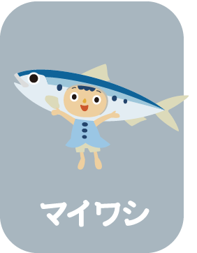 マイワシ