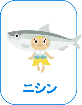 ニシン